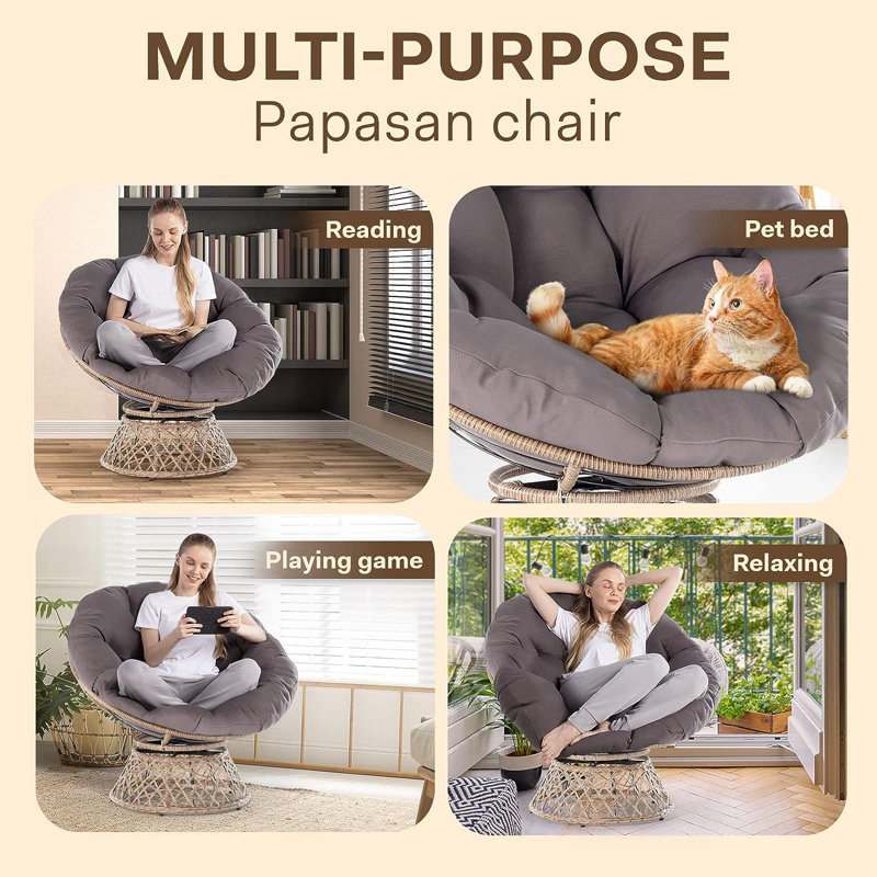 Cat papasan chair best sale